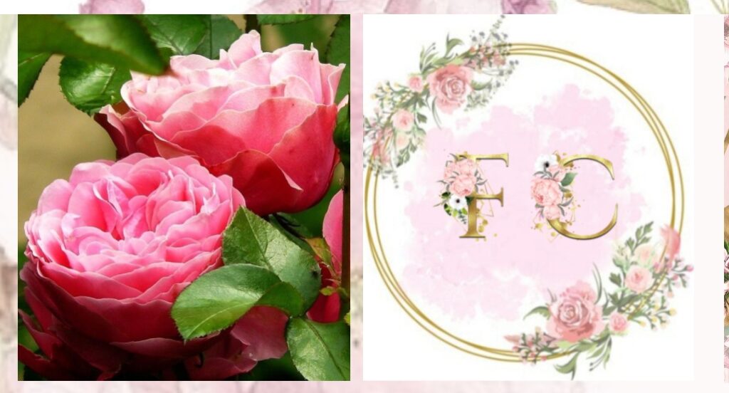 Capture d’écran du site fleuretchuchotement.fr, site de l’association Fleur et Chuchotement